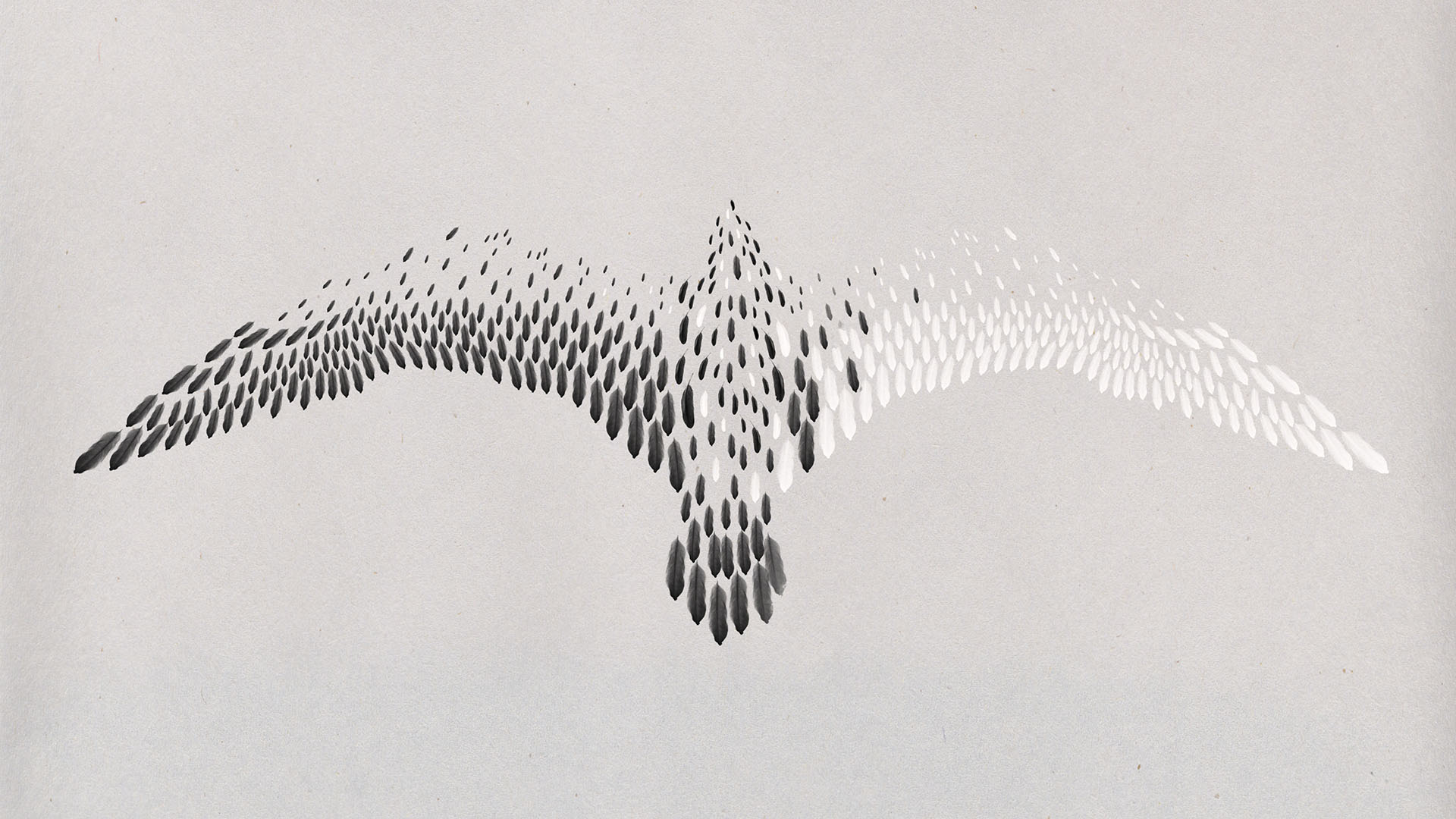 Thumbnail for Concepts & Styleframes